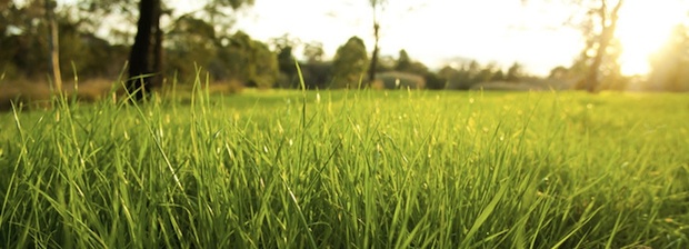 Лечение наркомании и алкоголизма