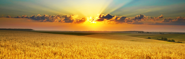 Лечение наркомании и алкоголизма Лечение наркомании и алкоголизма