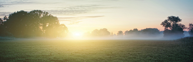 Реабилитация наркозависимых и алкоголиков Реабилитация наркозависимых и алкоголиков