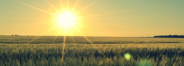 Лечение алкоголизма, вывод из запоя